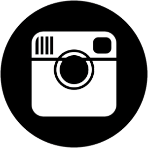The Instagrams